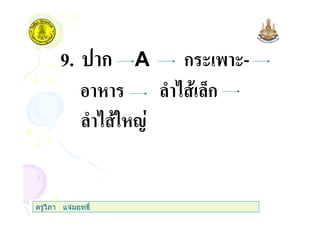 9. ก A ก ( ' (-
) 0ก
) " 1
ครูวิภา แจมฤทธิ์
 