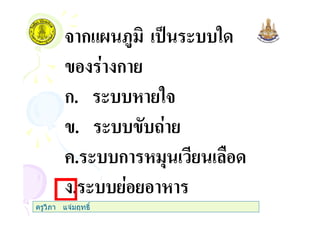 3 ก&@ <$ % ( "
ก
ก. ( "3
. ( #
+. ( ก ,
. (
ครูวิภา แจมฤทธิ์
 