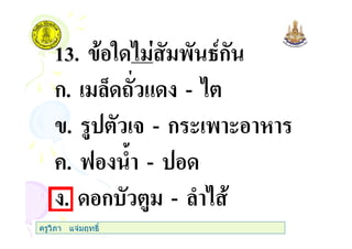 13. " ' 45ก
ก. 0 # & -
. $ 3 - ก ( ' (
+. 6 ) -
. ก $ - )
ครูวิภา แจมฤทธิ์
 