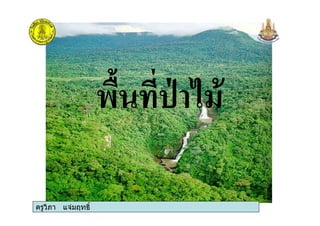 ครูวิภา แจมฤทธิ์ครูวิภา แจมฤทธิ์
 
