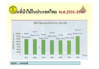 ครูวิภา แจมฤทธิ์
3 .3.2531-2543
ครูวิภา แจมฤทธิ์
 