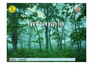 ครูวิภา แจมฤทธิ์
00
 