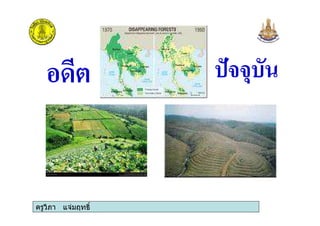 ครูวิภา แจมฤทธิ์
 