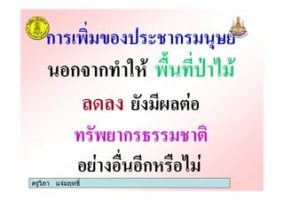 ครูวิภา แจมฤทธิ์
ก % - ก
ก ก ' 0
# # 5# !
ก @ %
! ก0 !
ครูวิภา แจมฤทธิ์
 