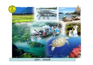 ครูวิภา แจมฤทธิ์ ครูวิภา แจมฤทธิ์
 