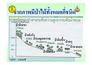 ครูวิภา แจมฤทธิ์
ก, 0 ก %
% -
A
B 7
% &#
%
#
ครูวิภา แจมฤทธิ์
 