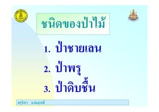 ครูวิภา แจมฤทธิ์
1. #
2.
3. %
% -
 