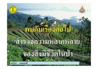 ครูวิภา แจมฤทธิ์
ก !
+' $ "$ 0# ก0#
- +% $%
ก !
+' $ "$ 0# ก0#
- +% $%
 