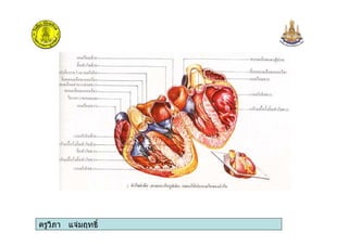 ครูวิภา แจมฤทธิ์
 