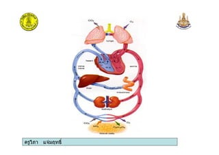 ครูวิภา แจมฤทธิ์
 