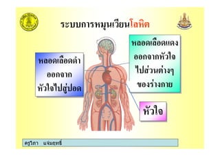 ครูวิภา แจมฤทธิ์
ก
ก ก
ก
ก ก
ก
ก ก
!
ก ก
!
 