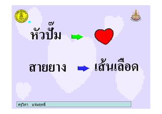 ครูวิภา แจมฤทธิ์
%*
#
 