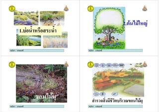ครูวิภา แจมฤทธิ์
1. $ % & $
ครูวิภา แจมฤทธิ์ ครูวิภา แจมฤทธิ์
2. ( )
ครูวิภา แจมฤทธิ์
ครูวิภา แจมฤทธิ์
3. (
ครูวิภา แจมฤทธิ์ ครูวิภา แจมฤทธิ์
(
ครูวิภา แจมฤทธิ์
 