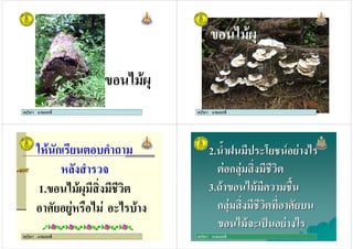 ครูวิภา แจมฤทธิ์
(
ครูวิภา แจมฤทธิ์
(
ครูวิภา แจมฤทธิ์
ครูวิภา แจมฤทธิ์
ก +
1. (
, ! % ( &(
ครูวิภา แจมฤทธิ์
2. $ - . &/ 0 (
ก
3. ( + %$
ก ,
( & .1 (
2. $ - . &/ 0 (
ก
3. ( + %$
ก ,
( & .1 (
 