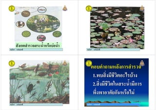 ครูวิภา แจมฤทธิ์
ก & $ % $
ครูวิภา แจมฤทธิ์ ครูวิภา แจมฤทธิ์ครูวิภา แจมฤทธิ์
ครูวิภา แจมฤทธิ์ครูวิภา แจมฤทธิ์ ครูวิภา แจมฤทธิ์
+ ก
1.2 &(
2. & $ ก
23 2 , ก % (
+ ก
1.2 &(
2. & $ ก
23 2 , ก % (
 