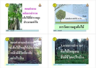 ครูวิภา แจมฤทธิ์
+
ก
1. ( !
. & 4
ครูวิภา แจมฤทธิ์ ครูวิภา แจมฤทธิ์
ก 4+ ! (
4
% ( 15 ก
ครูวิภา แจมฤทธิ์
ครูวิภา แจมฤทธิ์
+ ก
2. ( ) . &/ 0
ก ,
(
ครูวิภา แจมฤทธิ์ ครูวิภา แจมฤทธิ์
3. กก
( )2
&(
ครูวิภา แจมฤทธิ์
 