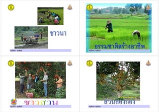 ครูรัตนา จุรุพันธครูรัตนา จุรุพันธ ครูรัตนา จุรุพันธครูรัตนา จุรุพันธ
ครูรัตนา จุรุพันธครูรัตนา จุรุพันธ ครูรัตนา จุรุพันธครูรัตนา จุรุพันธ
 