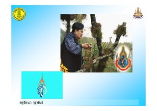 ครูรัตนา จุรุพันธ
 