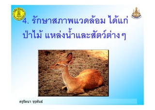 ครูรัตนา จุรุพันธ
4. ก9 # 0 < ก
B < 0 28 0 ;
 