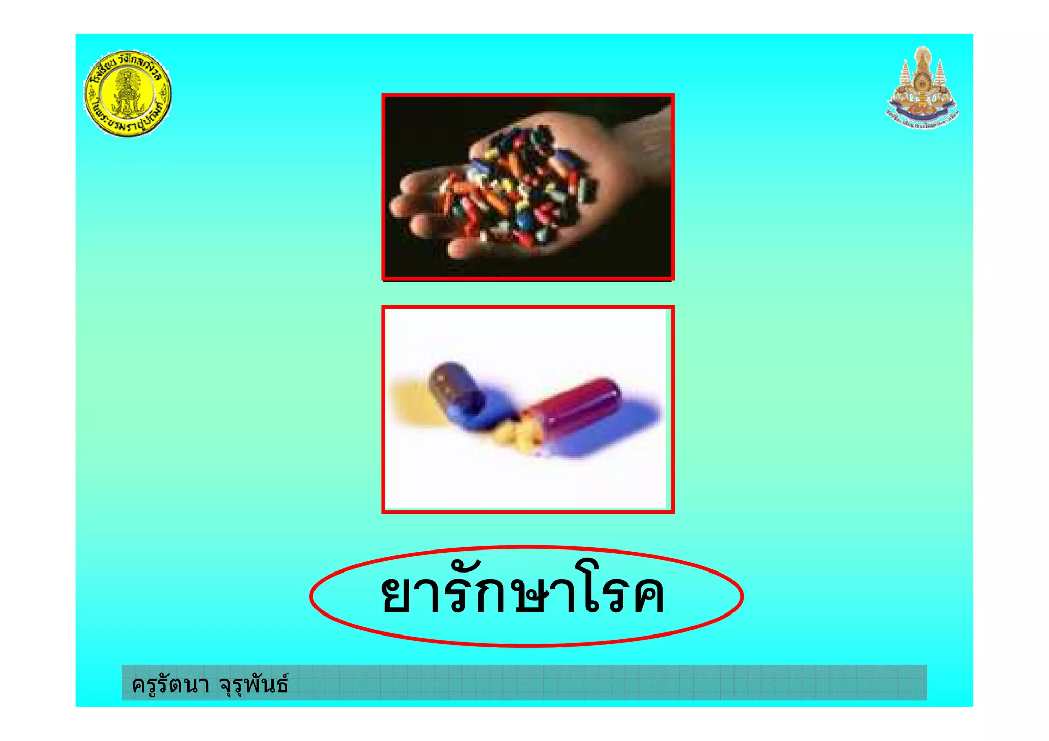 ครูรัตนา จุรุพันธ
ก3 1 %
 