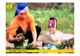 ครูพจนีย รักษาราษฎรครูพจนีย รักษาราษฎร
 