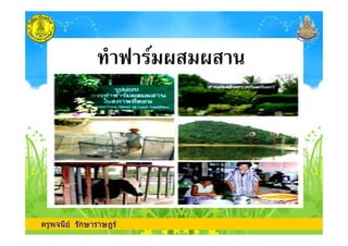 ( / 0 0
ครูพจนีย รักษาราษฎร
 