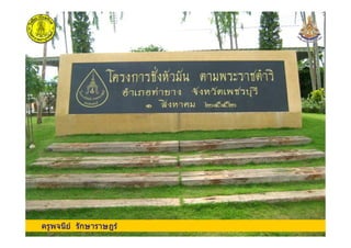 ครูพจนีย รักษาราษฎรครูพจนีย รักษาราษฎร
 