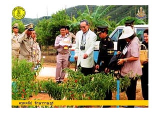 ครูพจนีย รักษาราษฎรครูพจนีย รักษาราษฎร
 