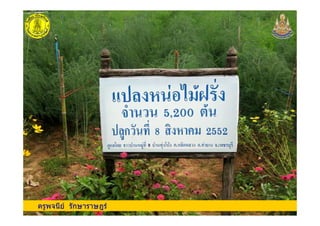 ครูพจนีย รักษาราษฎรครูพจนีย รักษาราษฎร
 