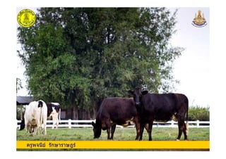 ครูพจนีย รักษาราษฎรครูพจนีย รักษาราษฎร
 