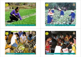 ครูพจนีย รักษาราษฎรครูพจนีย รักษาราษฎร ครูพจนีย รักษาราษฎรครูพจนีย รักษาราษฎร
ครูพจนีย รักษาราษฎรครูพจนีย รักษาราษฎร ครูพจนีย รักษาราษฎรครูพจนีย รักษาราษฎร
 