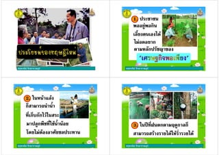 ครูพจนีย รักษาราษฎร ครูพจนีย รักษาราษฎร
1.1.
&" -&" -
. ก 8 !. ก 8 !
/ ก/ ก
-./ ก-./ ก
ครูพจนีย รักษาราษฎร
2.2.
& ก($กก-& ก($กก-
-./ 0-./ 0
ก( . : ' "'ก( . : ' "'
. ก & "'. ก & "'
ครูพจนีย รักษาราษฎร
3. + &; ก .< ก ก(3. + &; ก .< ก ก(
. : - ' -. : - ' -
 