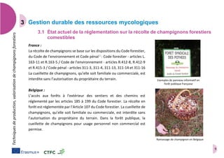 9
Techniquesdeproduction,valorisationdechampignonsforestiers
Gestion durable des ressources mycologiques
3.1 État actuel de la réglementation sur la récolte de champignons forestiers
comestibles
France :
La récolte de champignons se base sur les dispositions du Code forestier,
du Code de l’environnement et Code pénal j
: Code forestier - articles L.
163-11 et R.163-5 / Code de l’environnement - articles R.412-8, R.412-9
et R.415-3 / Code pénal - articles 311-3, 311-4, 311-13, 311-14 et 311-16
La cueillette de champignons, qu’elle soit familiale ou commerciale, est
interdite sans l’autorisation du propriétaire du terrain.
Belgique :
L’accès aux forêts à l’extérieur des sentiers et des chemins est
réglementé par les articles 185 à 199 du Code forestier. La récolte en
forêt est réglementée par l’Article 107 du Code forestier. La cueillette de
champignons, qu’elle soit familiale ou commerciale, est interdite sans
l’autorisation du propriétaire du terrain. Dans la forêt publique, la
cueillette de champignons pour usage personnel non commercial est
permise.
Exemples de panneau informatif en
forêt publique française
Ramassage de champignon en Belgique
 