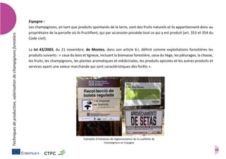 10
Techniquesdeproduction,valorisationdechampignonsforestiers
Espagne :
Les champignons, en tant que produits spontanés de la terre, sont des fruits naturels et ils appartiennent donc au
propriétaire de la parcelle où ils fructifient, qui par accession possède tout ce qui y est produit (art. 353 et 354 du
Code civil).
La loi 43/2003, du 21 novembre, de Montes, dans son article 6.i, définit comme exploitations forestières les
produits suivants : « ceux du bois et ligneux, incluant la biomasse forestière, ceux du liège, les pâturages, la chasse,
les fruits, les champignons, les plantes aromatiques et médicinales, les produits apicoles et les autres produits et
services ayant une valeur marchande qui sont caractéristiques des forêts ».
Exemples d’initiatives de réglementation de la cueillette de
champignons en Espagne
 