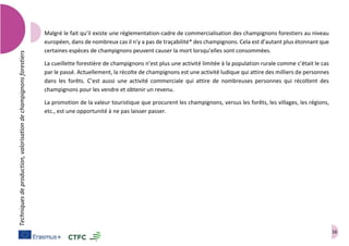 16
Techniquesdeproduction,valorisationdechampignonsforestiers
Malgré le fait qu’il existe une réglementation-cadre de commercialisation des champignons forestiers au niveau
européen, dans de nombreux cas il n’y a pas de traçabilité* des champignons. Cela est d’autant plus étonnant que
certaines espèces de champignons peuvent causer la mort lorsqu’elles sont consommées.
La cueillette forestière de champignons n’est plus une activité limitée à la population rurale comme c’était le cas
par le passé. Actuellement, la récolte de champignons est une activité ludique qui attire des milliers de personnes
dans les forêts. C’est aussi une activité commerciale qui attire de nombreuses personnes qui récoltent des
champignons pour les vendre et obtenir un revenu.
La promotion de la valeur touristique que procurent les champignons, versus les forêts, les villages, les régions,
etc., est une opportunité à ne pas laisser passer.
 