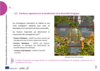 3
Techniquesdeproduction,valorisationdechampignonsforestiers
2.3 Facteurs agissant sur la production et la diversité fongique
Les champignons nécessitent un habitat et une
niche écologique* adéquats pour vivre, se
développer et se reproduire de façon convenable.
Les facteurs importants qui déterminent la
conservation des champignons sont(a)
:
– Facteurs biotiques : relatifs aux êtres vivants qui
interagissent avec d’autres organismes vivants
– Facteurs abiotiques : relatifs aux facteurs
physiques et chimiques qui déterminent les
caractéristiques d’un biotope
– Facteurs anthropiques : relatifs à l’activité
humaine
Le degré d’importance de chaque facteur sur la production de champignons est complexe à déterminer car ils
interagissent entre eux.
Explication d’une niche écologique
 