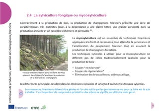 5
Techniquesdeproduction,valorisationdechampignonsforestiers
2.4 La sylviculture fongique ou mycosylviculture
Contrairement à la production de bois, la production de champignons forestiers présente une série de
caractéristiques très distinctes (dues à la dépendance à une plante hôte), une grande variabilité dans sa
production annuelle et un caractère éphémère et périssable (h)
.
La mycosylviculture est un ensemble de techniques forestières
appliquées à la forêt et nécessaires pour atteindre la persistance et
l’amélioration du peuplement forestier tout en assurant la
production de champignons forestiers.
Les techniques sylvicoles à utiliser pour la mycosylviculture ne
diffèrent pas de celles traditionnellement réalisées pour la
production de bois :
– Coupes* et éclaircies*
– Coupes de régénération*
– Élimination des broussailles ou débroussaillage.
Les différences principales résident dans les itinéraires sylvicoles et la façon d’exécuter les travaux sylvicoles.
Les ressources forestières doivent être gérées et l'un des outils que les gestionnaires ont pour ce faire est la scie
à chaîne. Il est important de comprendre qu’abattre des arbres ne signifie pas détruire mais gérer.
Travaux forestiers réalisés dans une forêt de Pinus
sylvestris dans l’objectif d’améliorer la production
et la diversité des champignons
 