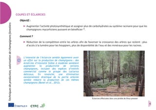 6
Techniquesdeproduction,valorisationdechampignonsforestiers
COUPES ET ÉCLAIRCIES
Objectif :
➤ Augmenter l’activité photosynthétique et assigner plus de carbohydrates au système racinaire pour que les
champignons mycorhiziens puissent en bénéficier (I)
.
Comment ?
➤ Réduction de la compétition entre les arbres afin de favoriser la croissance des arbres qui restent : plus
d’accès à la lumière pour les houppiers, plus de disponibilité de l’eau et des minéraux pour les racines.
L’intensité de l’éclaircie semble également avoir
un effet sur la production de champignons : des
éclaircies d’intensité faible à modérée semblent
augmenter la productivité de certains
champignons, incluant des espèces d’intérêt
commercial comme le groupe des Lactarius
delicosus. En revanche, une élimination
excessivement drastique de la partie arborée
semble réduire la production de ces mêmes
champignons (Bonet et al., 2012).
Éclaircies effectuées dans une pinède de Pinus pinaster
 
