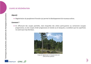 7
Techniquesdeproduction,valorisationdechampignonsforestiers
COUPES DE RÉGÉNÉRATION
Objectif :
➤ Régénération du peuplement forestier qui permet le développement de nouveaux arbres.
Comment ?
➤ En effectuant des coupes partielles, dans lesquelles des arbres porte-graines ou semenciers (coupes
progressives), ou des coupes d’abri progressives en bande ou en bosquets, à condition que les superficies
ne soient pas trop étendues.
Coupe de régénération en bosquets dans une
forêt de Pinus sylvestris
 