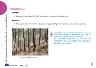 8
Techniquesdeproduction,valorisationdechampignonsforestiers
DÉBROUSSAILLAGE
Objectif :
➤ Augmenter l’eau disponible dans le sol pour les arbres et les champignons.
Comment ?
➤ En coupant et en éliminant les arbustes et la végétation ligneuse légère qui croissent sous les arbres.
Il est difficile de savoir quel serait le temps nécessaire
entre deux coupes de régénération pour que la
production de champignons soit optimale.
Les différences potentielles de production de
champignons entre les peuplements réguliers et
irréguliers sont des questions qui demeurent
également sans réponse.
Forêt de Pinus nigra débroussaillée
 