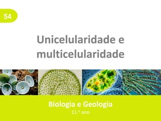 54
Unicelularidade e
multicelularidade
Biologia e Geologia
11.o ano
 