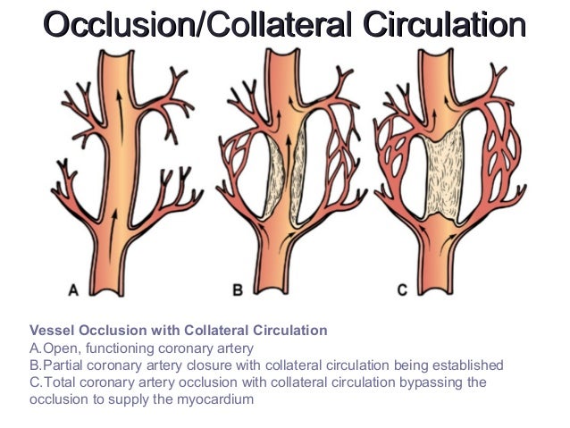 cardiac disruptions alterations in oxygenation