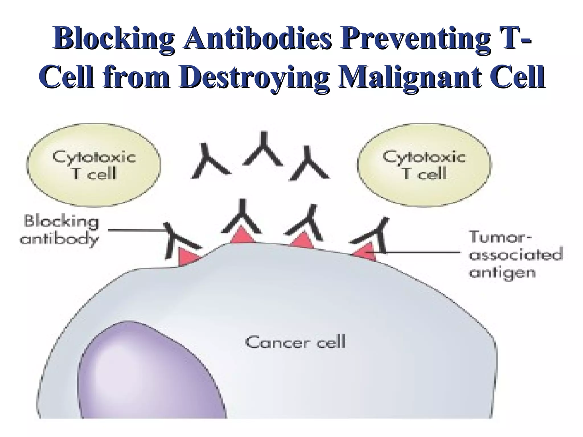 Blocking Antibodies Preventing T-
Cell from Destroying Malignant Cell
 