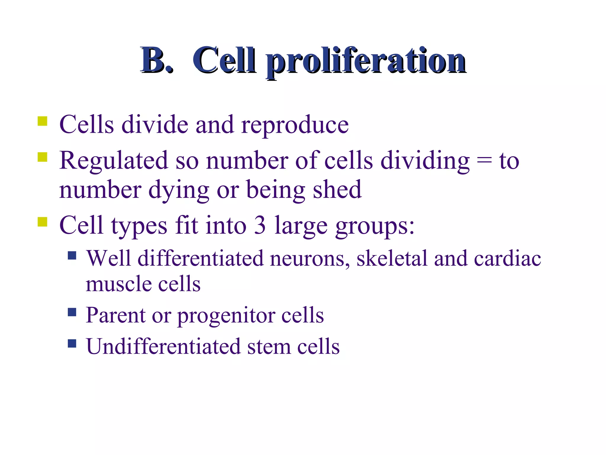 B. Cell proliferation
   Cells divide and reproduce
   Regulated so number of cells dividing = to
    number dying or being shed
   Cell types fit into 3 large groups:
       Well differentiated neurons, skeletal and cardiac
        muscle cells
       Parent or progenitor cells
       Undifferentiated stem cells
 