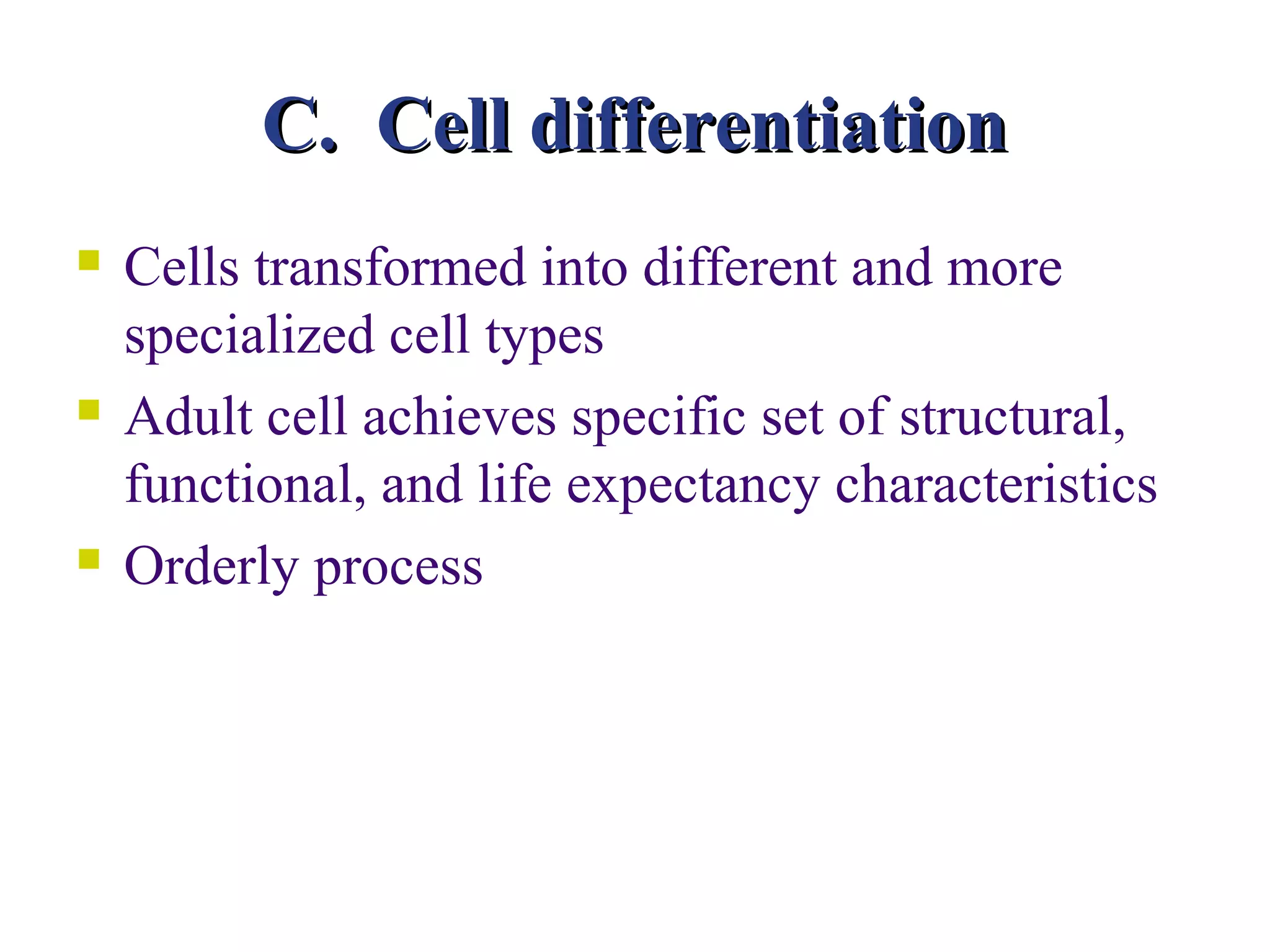 C. Cell differentiation
   Cells transformed into different and more
    specialized cell types
   Adult cell achieves specific set of structural,
    functional, and life expectancy characteristics
   Orderly process
 