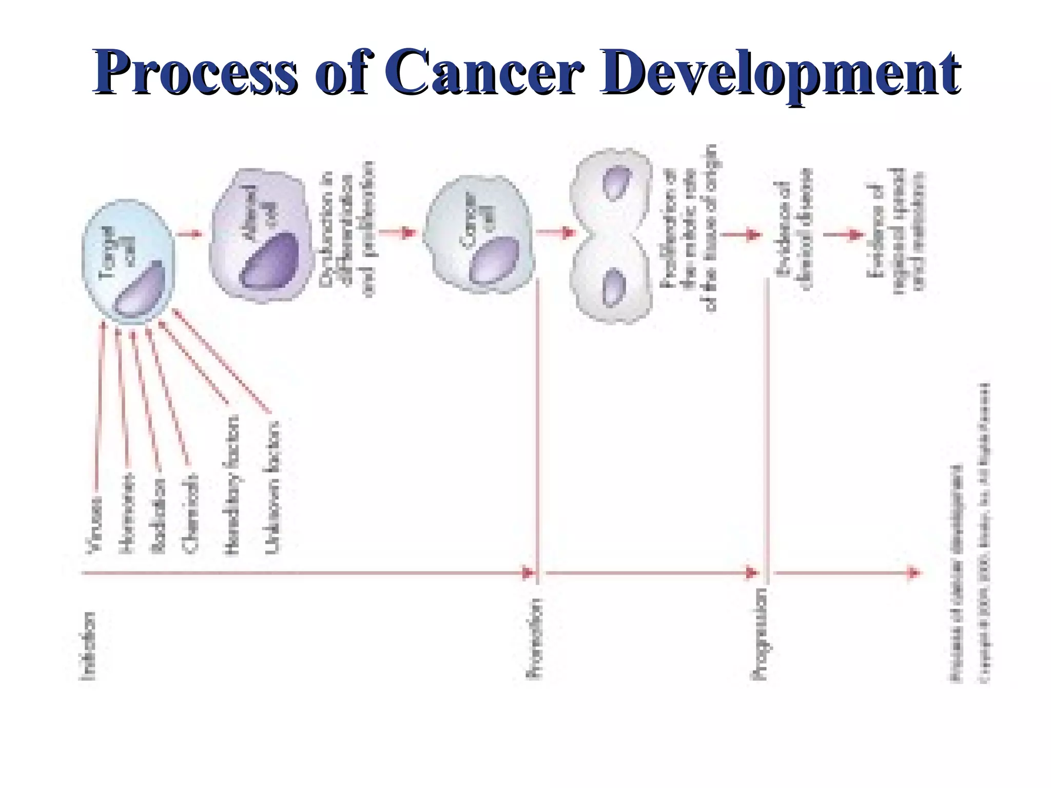 Process of Cancer Development
 