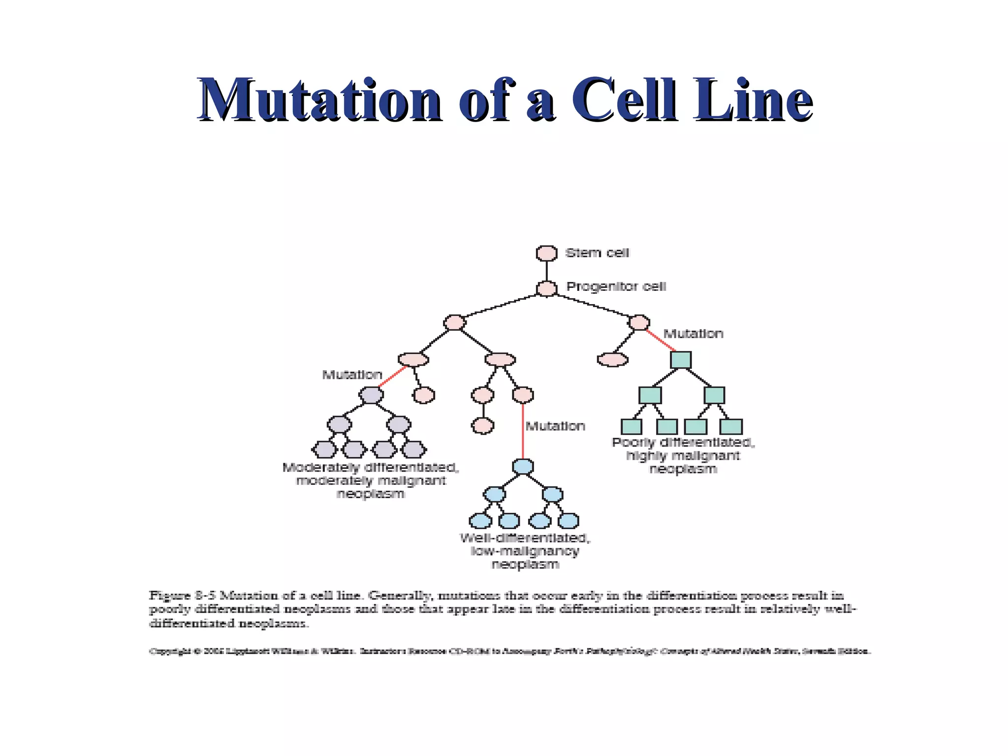 Mutation of a Cell Line
 