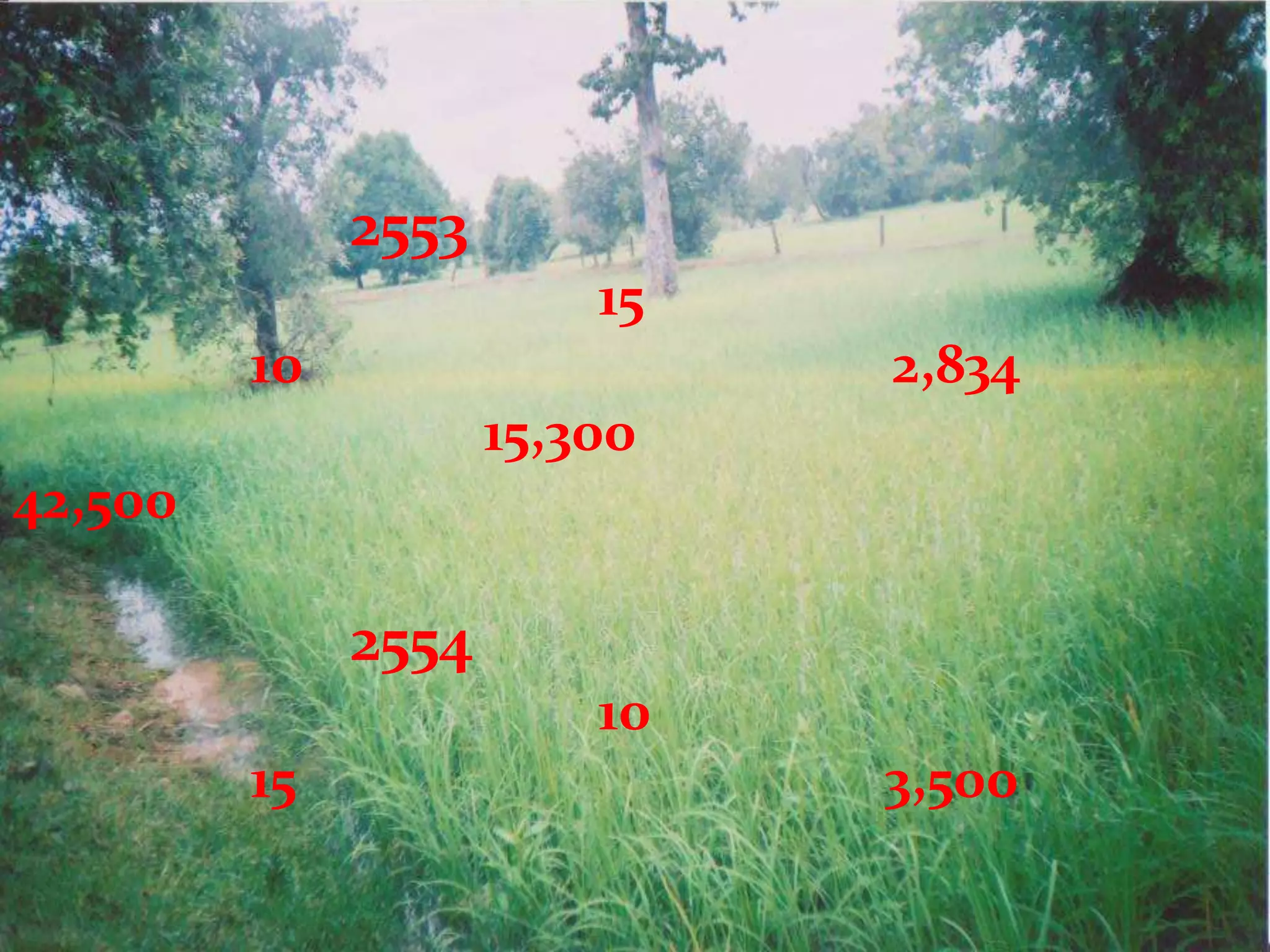 2553
                         15
         10                   2,834
                     15,300
42,500

              2554
                         10
         15                   3,500
 