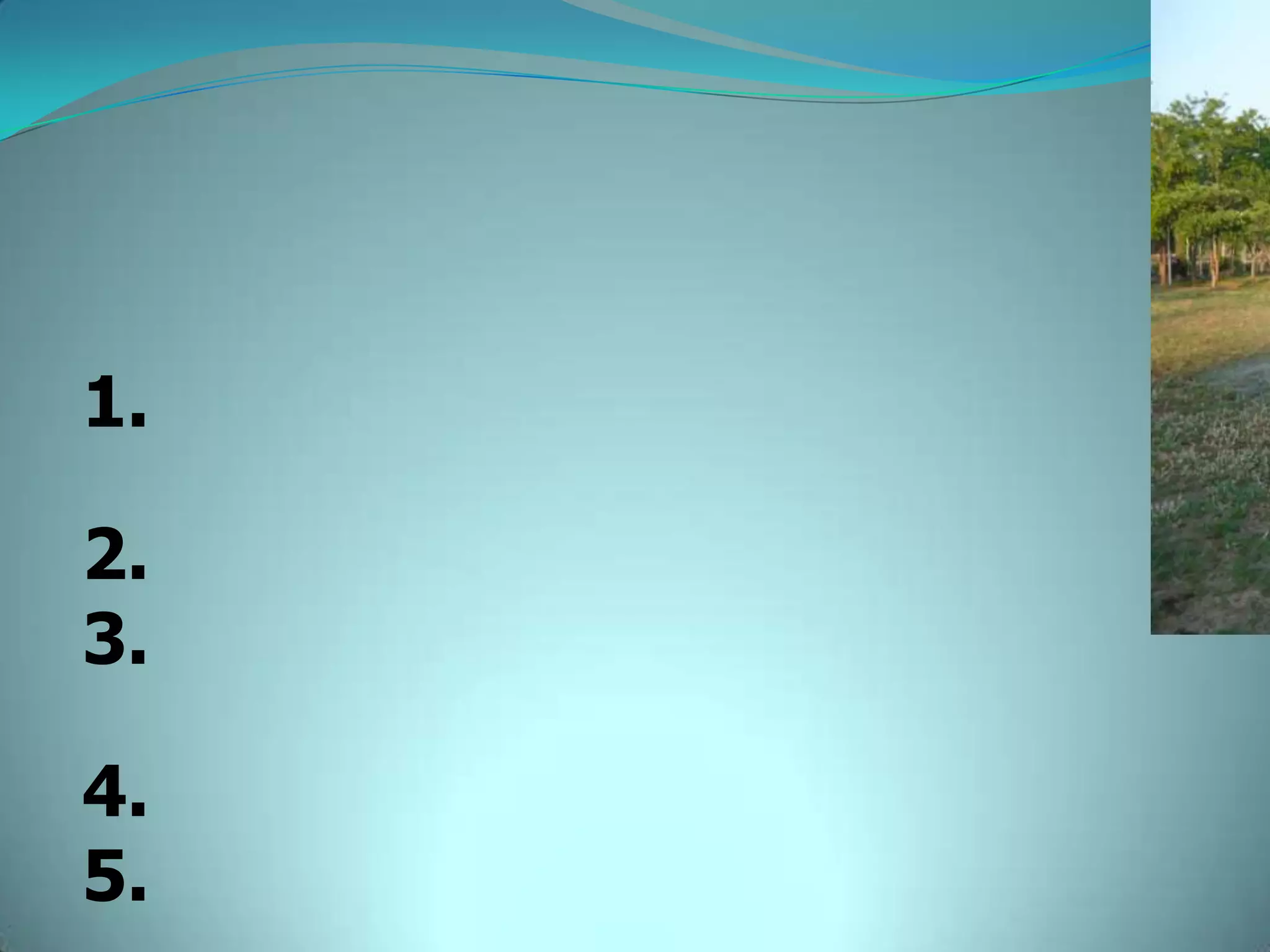 1.

2.
3.

4.
5.
 