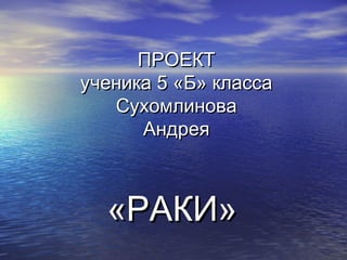 ПРОЕКТПРОЕКТ
ученика 5 «Б» классаученика 5 «Б» класса
СухомлиноваСухомлинова
АндреяАндрея
«РАКИ»«РАКИ»
 